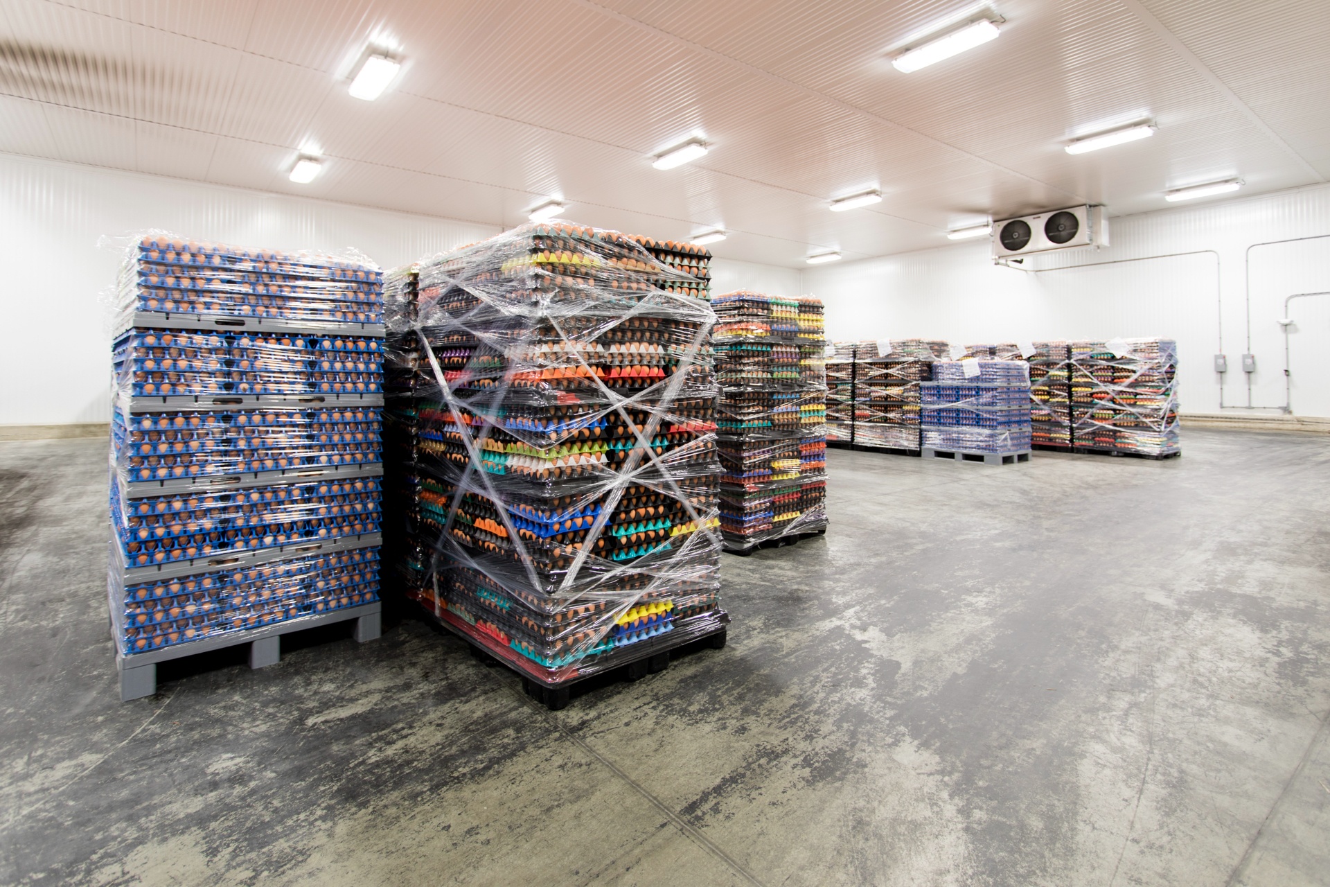 Egg Innovations packaging area (1)