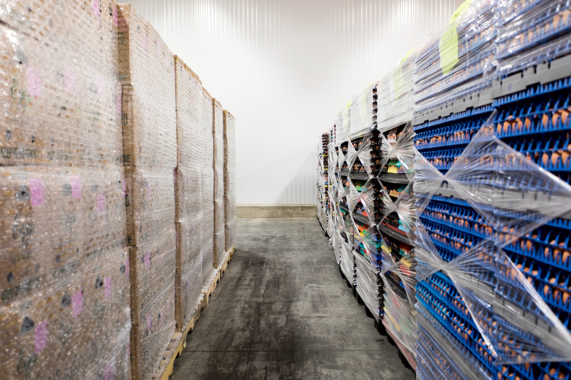 Egg Innovations packaging area (2)