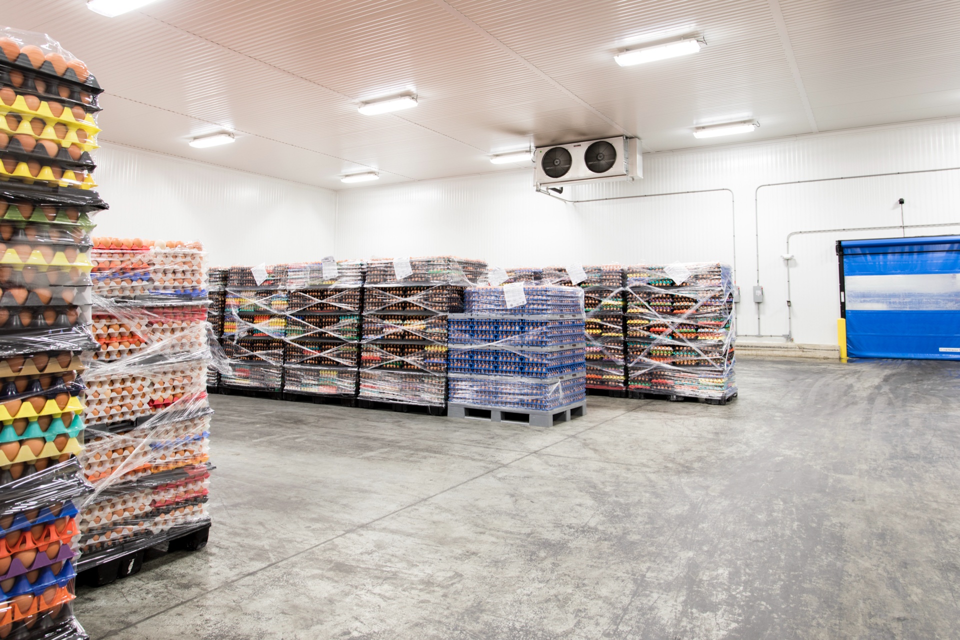 Egg Innovations packaging area (3)