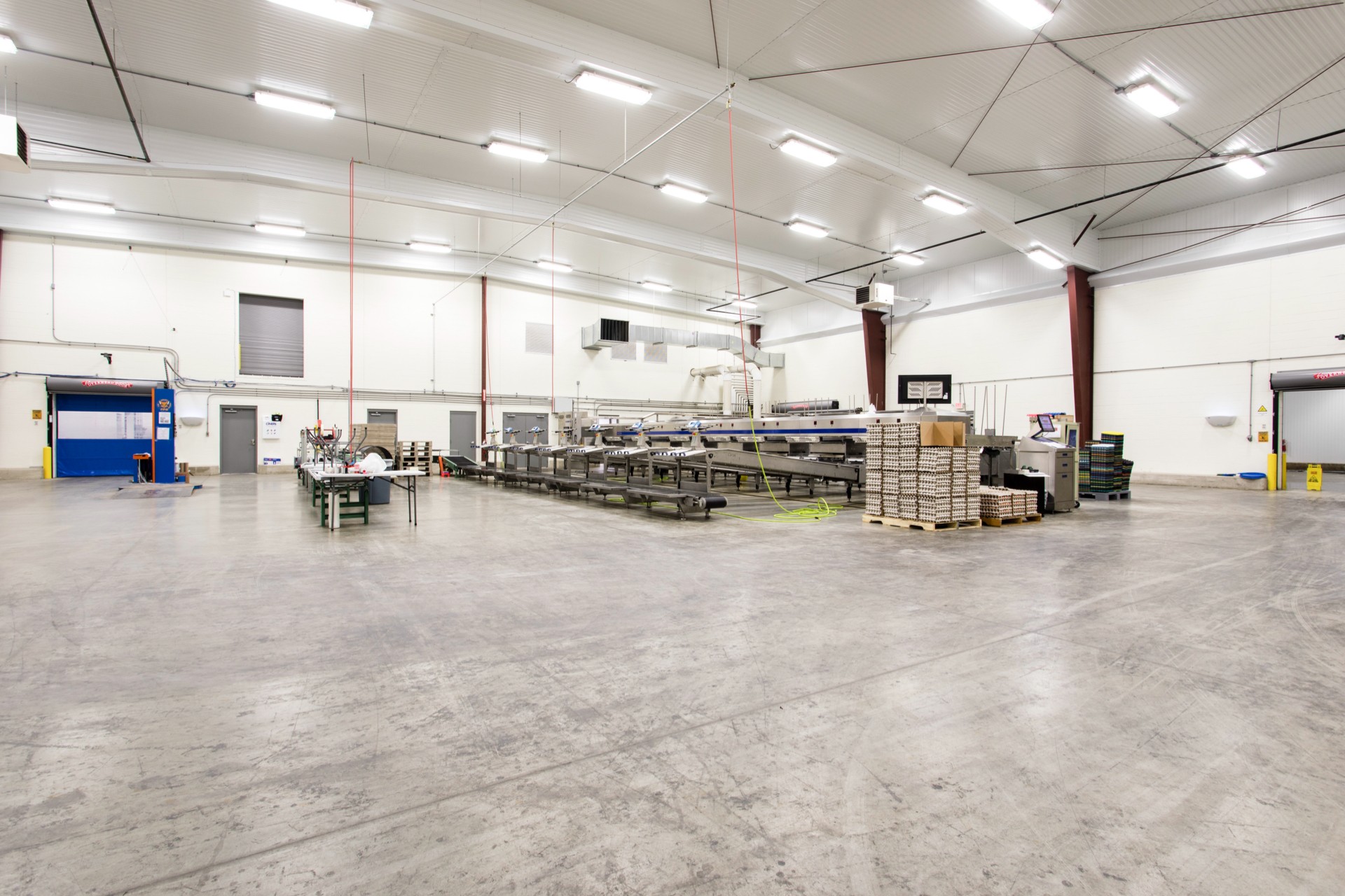 Inside Egg Innovations construction (4)