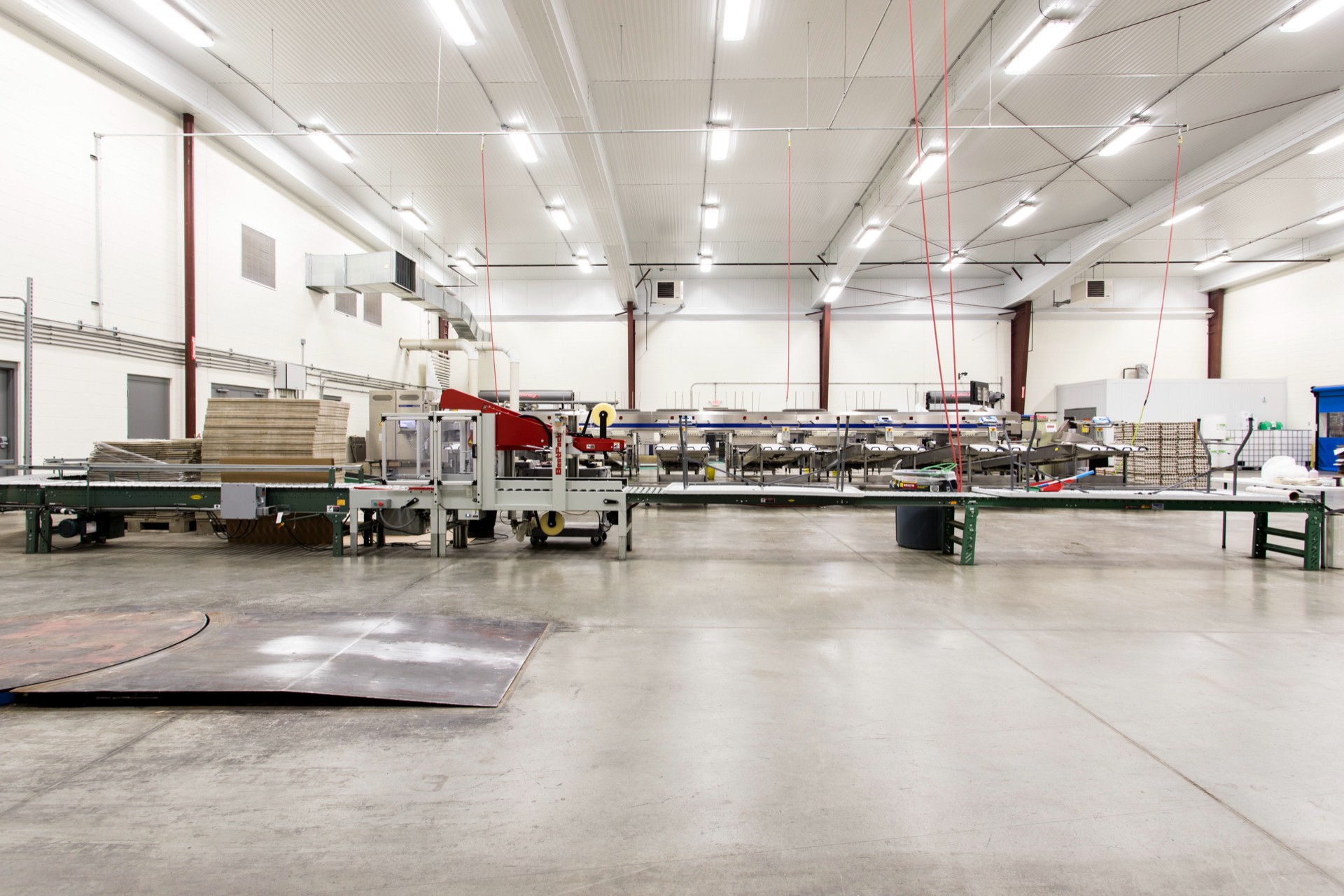 Inside Egg Innovations construction line (1)