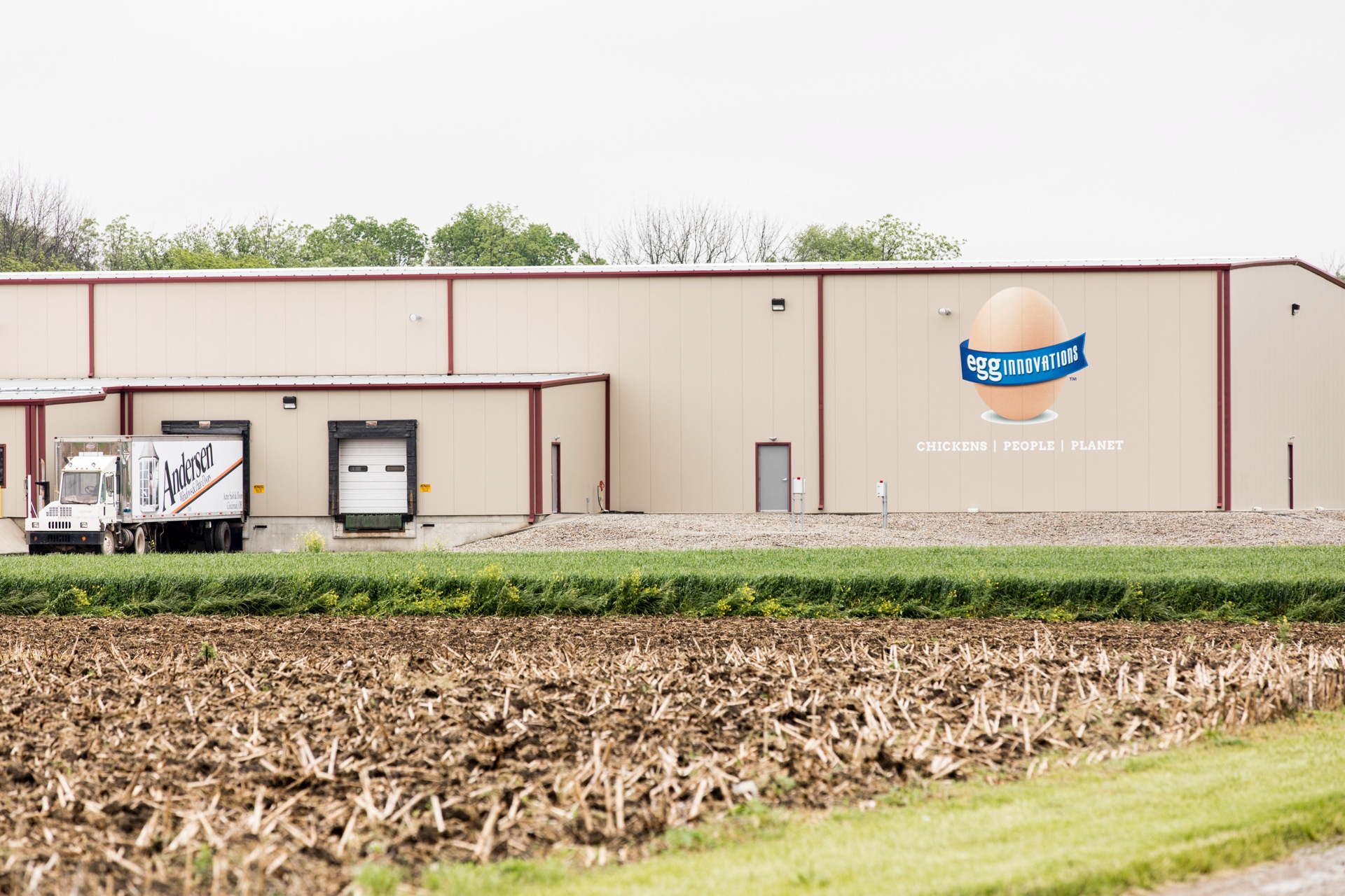 Egg Innovations outside building construction (2)