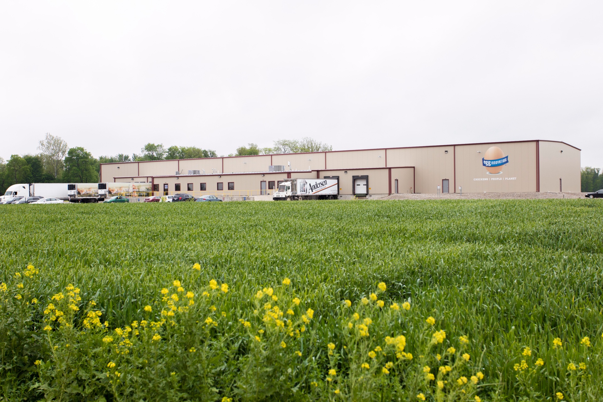 Egg Innovations outside building construction (3)