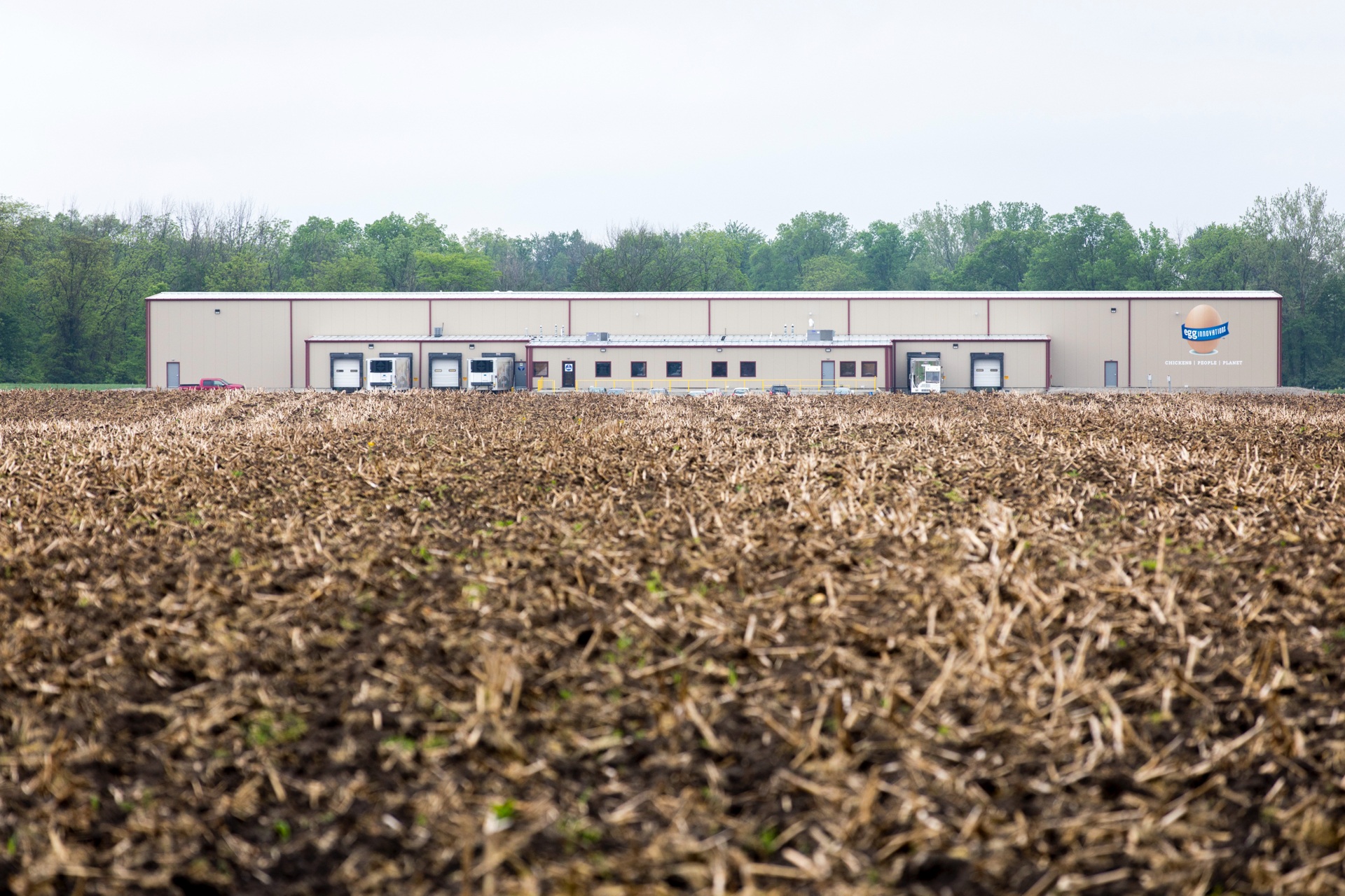 Egg Innovations outside building construction (6)